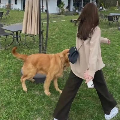 令和元年版怪谈牡丹灯笼